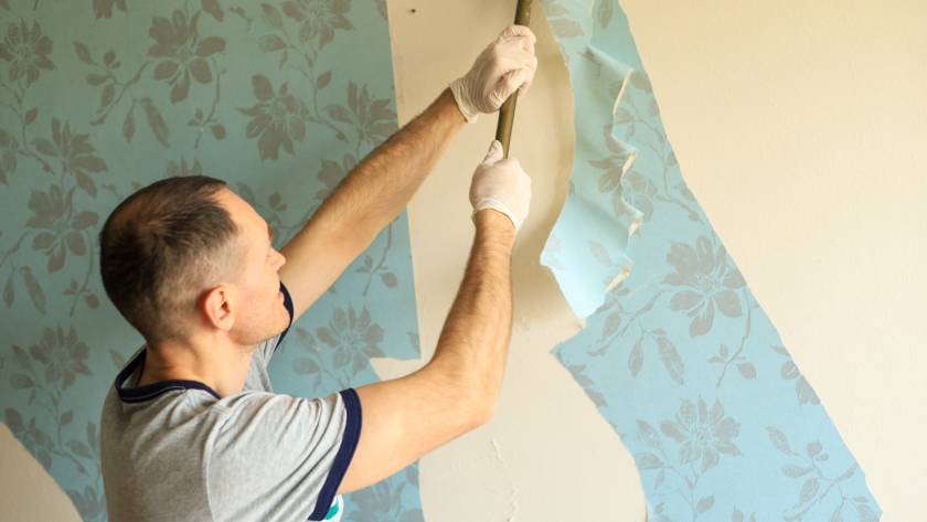 Wallpaper removal